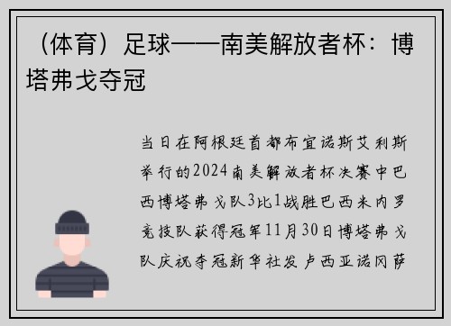 （体育）足球——南美解放者杯：博塔弗戈夺冠